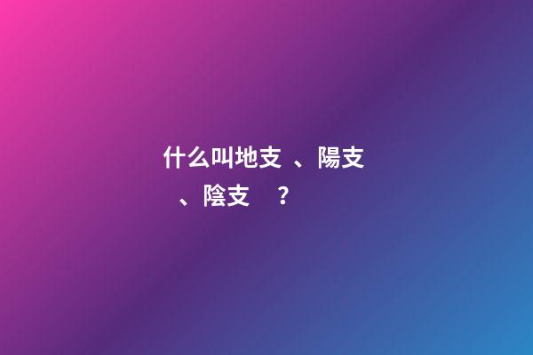 什么叫地支、陽支、陰支？